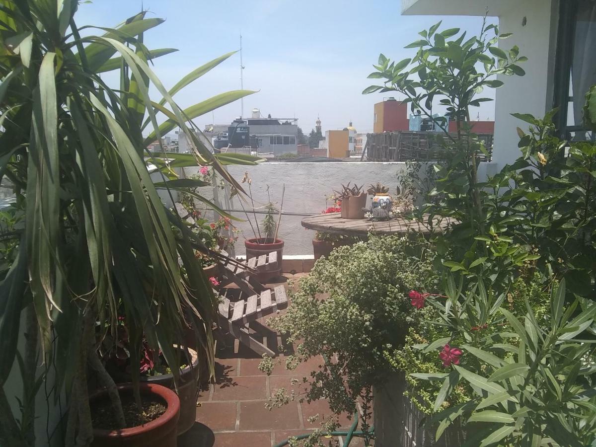 Hostal El Cascabel โชลูลา ภายนอก รูปภาพ
